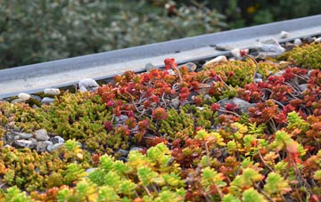 the cost of Yelden green roof installation