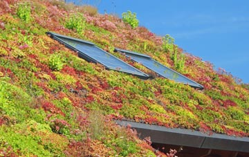 Yelden living roof systems