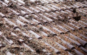 Yelden roof cleaning companies