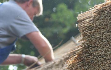 professional Yelden thatchers