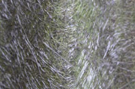 Yelden fibreglass roof work